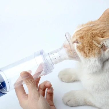 Phòng hít khí nén SKJK, miếng đệm hen suyễn, bình phun sương, cốc đựng mặt nạ, cốc hít cho chó mèo - Giá 118.250₫ 8 Phòng hít khí nén SKJK, miếng đệm hen suyễn, bình phun sương, cốc đựng mặt nạ, cốc hít cho chó mèo - Giá 118.250₫ 8