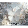 Phông nền chụp ảnh 3x2m – Chủ đề Butterfly, giá ưu đãi 275.000₫ 3