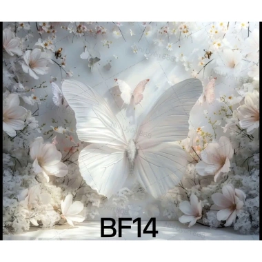Phông nền chụp ảnh 3x2m – Chủ đề Butterfly, giá ưu đãi 275.000₫ 3