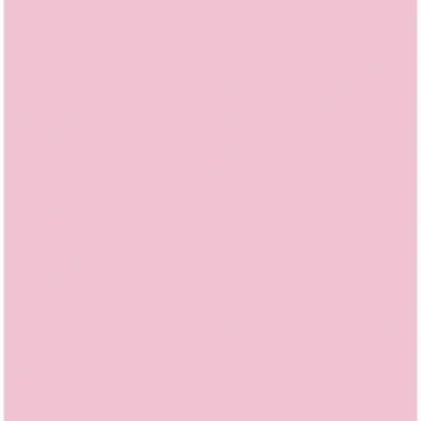 Phông Nên PhotoBooth CoriHome - Nhiều màu sắc, làm theo yêu cầu, giá 210.000₫