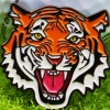 Phụ kiện đánh dấu bóng sắt Tiger - Kim loại bền, kẹp mũ từ tính, cho người chơi gôn 5