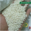 Phuc Cu Rice 10KG Nếp Sáp Ngỗng Dẻo Thơm - Làm Bánh Xôi, Nấu Chè Giá 150.000đ 4
