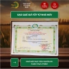 Phuc Cu Rice 5KG Gạo Nếp Cái Hoa Vàng Nếp Bắc 3,5 Tháng Tuổi Dẻo Thơm Gạo Quê Nấu Xôi Làm Bánh Giá 180.000 VND 7