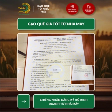 Phuc Cu Rice 5KG Gạo Nếp Cái Hoa Vàng Nếp Bắc 3,5 Tháng Tuổi Dẻo Thơm Gạo Quê Nấu Xôi Làm Bánh Giá 180.000 VND