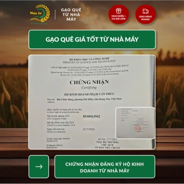 Phuc Cu Rice 5KG Gạo Nếp Cái Hoa Vàng Nếp Bắc 3,5 Tháng Tuổi Dẻo Thơm Gạo Quê Nấu Xôi Làm Bánh Giá 180.000 VND