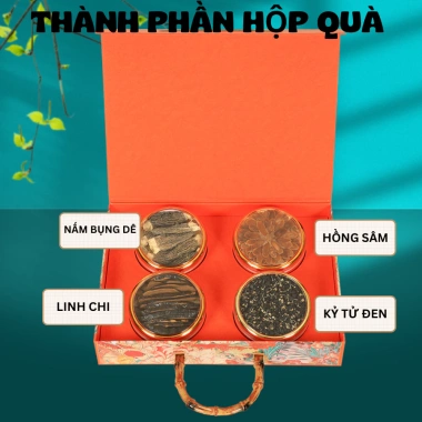 Phúc Lộc Tứ Bảo - Hộp Quà Tết Bồi Bổ Sức Khỏe 4 Thảo Dược Nấm Bụng Dê, Linh Chi, Hồng Sâm, Kỷ Tử Đen Giá 999k 2