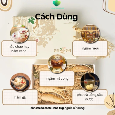 Phúc Lộc Tứ Bảo - Hộp Quà Tết Bồi Bổ Sức Khỏe 4 Thảo Dược Nấm Bụng Dê, Linh Chi, Hồng Sâm, Kỷ Tử Đen Giá 999k 4