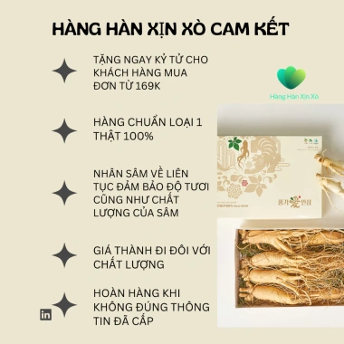 Phúc Lộc Tứ Bảo - Hộp Quà Tết Bồi Bổ Sức Khỏe 4 Thảo Dược Nấm Bụng Dê, Linh Chi, Hồng Sâm, Kỷ Tử Đen Giá 999k 9