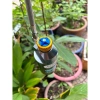 Phuộc NITRON bình dầu xoay 360 - Tương thích Ex2.010-Ex155, Winner, WinnerX, Sonic, Raider - Giá 1.588.000đ 9