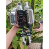 Phuộc sau NiTron 1:1 bình dầu Thái gắn Dream Wave - Axelo Cub, giảm còn 799.000₫ 2