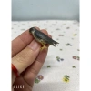 Pin cài áo thời trang, ghim cài áo - Giá ưu đãi 10.000 VND, chỉ 12.600 VND 2