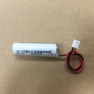 Pin sạc AA 1,2V 800mAh cho đèn exit - Bán buôn giá 20.000đ, chuẩn nhà sản xuất 2