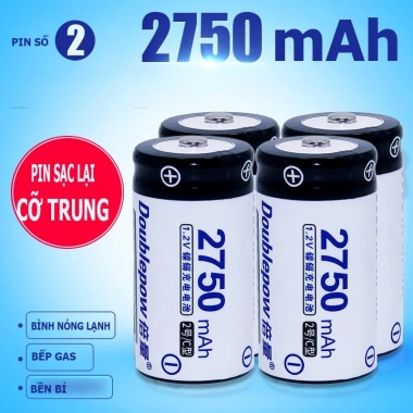 Pin sạc lại Doublepow Size C 2.750mAh dùng cho bình nước nóng, bếp gas - Giá 52.000đ