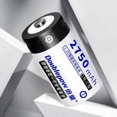 Pin sạc lại Doublepow Size C 2.750mAh dùng cho bình nước nóng, bếp gas - Giá 52.000đ 5