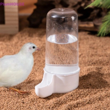 Plumhouse Rutin Gà Tự Động Ăn Thức Ăn, Hộp Đựng Gia Cầm Dung Tích Lớn Chống Lật, Trong Suốt, Giá 48,840 VND