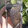 Polygon Channa Growth Protein 43% - Cám tăng trưởng nhanh cho cá lóc cảnh, túi 50g, giá ưu đãi 17.939đ 2