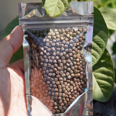 Polygon Channa Growth Protein 43% - Cám tăng trưởng nhanh cho cá lóc cảnh, túi 50g, giá ưu đãi 17.939đ
