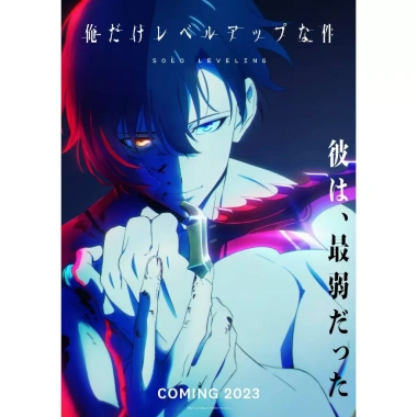 Poster Postcard 300gsm Solo Leveling Giấy Decal Tranh Dán Tường Anime Manga PT48 Giá 13.000 VND