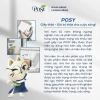 POSY Combo 5 cuộn 700g 2 lớp - Tiết kiệm cho văn phòng, công ty, giá chỉ 132.5k 8