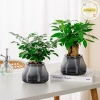 Pufangnice Lười Chậu Hoa Tự Động Hút Nước 2 lớp nhựa Tự Tưới, Giá 61.710₫ 4