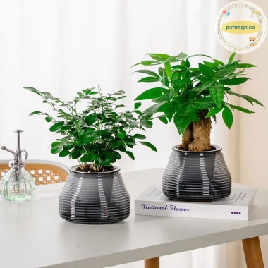 Pufangnice Lười Chậu Hoa Tự Động Hút Nước 2 lớp nhựa Tự Tưới, Giá 61.710₫ 4 Pufangnice Lười Chậu Hoa Tự Động Hút Nước 2 lớp nhựa Tự Tưới, Giá 61.710₫ 4