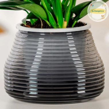 Pufangnice Lười Chậu Hoa Tự Động Hút Nước 2 lớp nhựa Tự Tưới, Giá 61.710₫ 7 Pufangnice Lười Chậu Hoa Tự Động Hút Nước 2 lớp nhựa Tự Tưới, Giá 61.710₫ 7