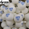 Quả bóng bàn tập luyện Sanwei 40+ ABS dai bền, khó vỡ - Giá chỉ 189.000 VNĐ 2