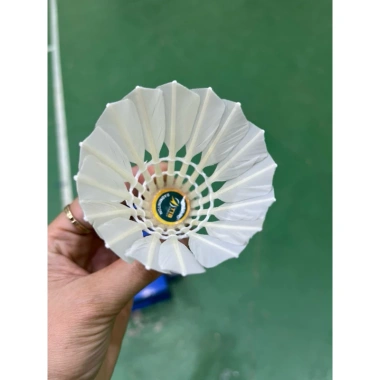 Quả câu lông Tiến Bộ 12 quả - Cầu thi đấu bền bỉ, giá ưu đãi 359.000đ