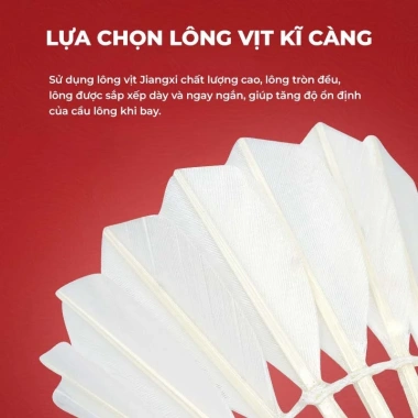 Quả cầu lông VENSON VS Kirin A2 12 quả - Ống cầu thi đấu chuyên nghiệp, giá ưu đãi 699.000đ