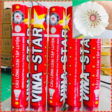 Quả Cầu Lông ViNa Đen Loại 1 Chính Hãng 100% - Bộ 12 quả, Giá chỉ 219.000 VND