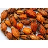 Quả Dành Dành sấy khô 100g đã tách vỏ - Giá ưu đãi 19.600đ, thơm ngon 2