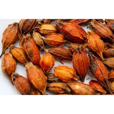 Quả Dành Dành sấy khô 100g đã tách vỏ - Giá ưu đãi 19.600đ, thơm ngon