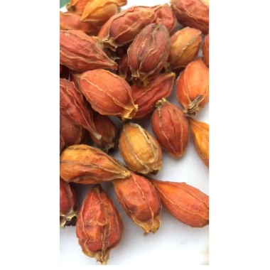 Quả Dành Dành sấy khô 100g đã tách vỏ - Giá ưu đãi 19.600đ, thơm ngon 3 Quả Dành Dành sấy khô 100g đã tách vỏ - Giá ưu đãi 19.600đ, thơm ngon 3