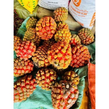 Quả dứa dại tươi ngon, giảm giá 85.000đ (giá gốc 110.500đ), giao nhanh, dinh dưỡng cao 5