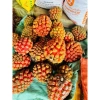 Quả dứa dại tươi ngon, giảm giá 85.000đ (giá gốc 110.500đ), giao nhanh, dinh dưỡng cao 6