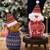 Quà Giáng Sinh Dệt Kim Hoạt Hình Túi Bảo Quản Kẹo Búp Bê Nai Santa Gấu 8
