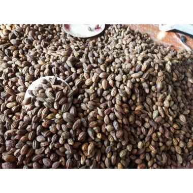 Quả Kha Tử Ngâm Mật Ong Hũ Lớn - Tăng Sức Đề Kháng, Thuận Tiện Sử Dụng 5