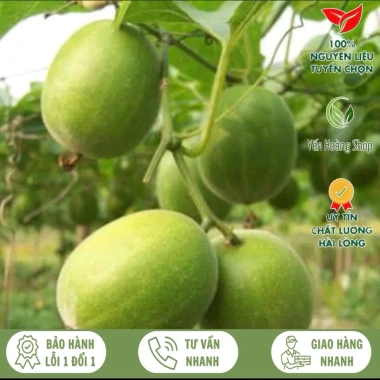 Quả La Hán Loại 1 Thanh Nhiệt Giải Độc Ngọt Tự Nhiên - Giá 45.000đ giảm từ 57.150đ