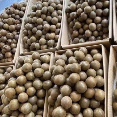 Quả La Hán Sấy Khô Hàng Loại A - Nước Sâm, Pha Trà Thanh Nhiệt, Giá 37.5k 6