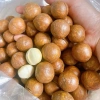 Quả Macca Daklak nứt vỏ size Đại 24-28 500g - Giá ưu đãi 110k, tặng cậy tách hạt