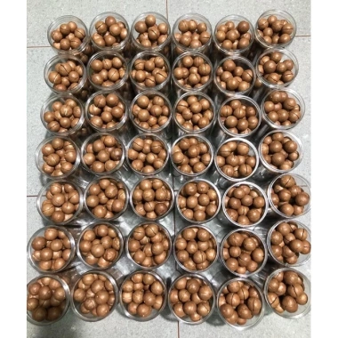 Quả Macca Daklak nứt vỏ size Đại 24-28 500g - Giá ưu đãi 110k, tặng cậy tách hạt
