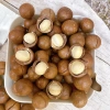 Quả Macca Daklak nứt vỏ size Đại 24-28 500g - Giá ưu đãi 110k, tặng cậy tách hạt 7