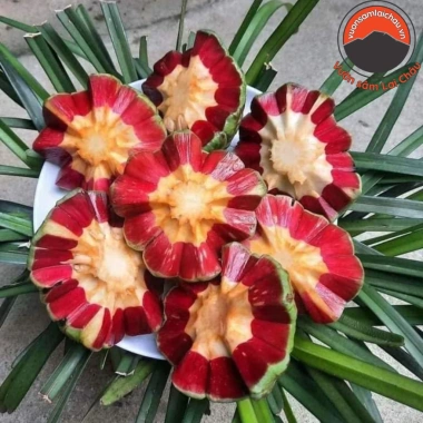 Quả Na Rừng Tây Bắc 1kg Ngâm Rượu Hút Chân Không - Tiên Dược Phòng Thế Người Mông, Giá 155k 3 Quả Na Rừng Tây Bắc 1kg Ngâm Rượu Hút Chân Không - Tiên Dược Phòng Thế Người Mông, Giá 155k 3