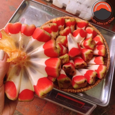 Quả Na Rừng Tây Bắc 1kg Ngâm Rượu Hút Chân Không - Tiên Dược Phòng Thế Người Mông, Giá 155k 4 Quả Na Rừng Tây Bắc 1kg Ngâm Rượu Hút Chân Không - Tiên Dược Phòng Thế Người Mông, Giá 155k 4
