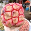 Quả Na Rừng Tây Bắc 1kg Ngâm Rượu Hút Chân Không - Tiên Dược Phòng Thế Người Mông, Giá 155k 6