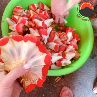 Quả Na Rừng Tây Bắc 1kg Ngâm Rượu Hút Chân Không - Tiên Dược Phòng Thế Người Mông, Giá 155k 7 Quả Na Rừng Tây Bắc 1kg Ngâm Rượu Hút Chân Không - Tiên Dược Phòng Thế Người Mông, Giá 155k 7