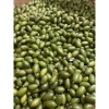 Quả Nhọt Xanh 500g - Chua Ngon, Thơm, Dễ Chấm Muối, Giá Chỉ 30.600đ 3