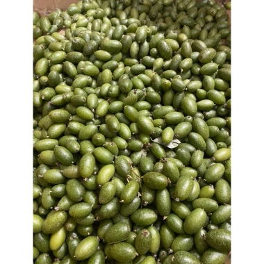 Quả Nhọt Xanh 500g - Chua Ngon, Thơm, Dễ Chấm Muối, Giá Chỉ 30.600đ 3