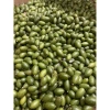 Quả Nhọt Xanh 500g - Chua Ngon, Thơm, Dễ Chấm Muối, Giá Chỉ 30.600đ 4