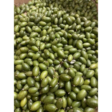 Quả Nhọt Xanh 500g - Chua Ngon, Thơm, Dễ Chấm Muối, Giá Chỉ 30.600đ 4